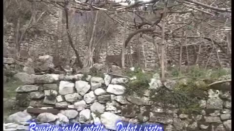 udhetim jasht qyteti 09 02 2010