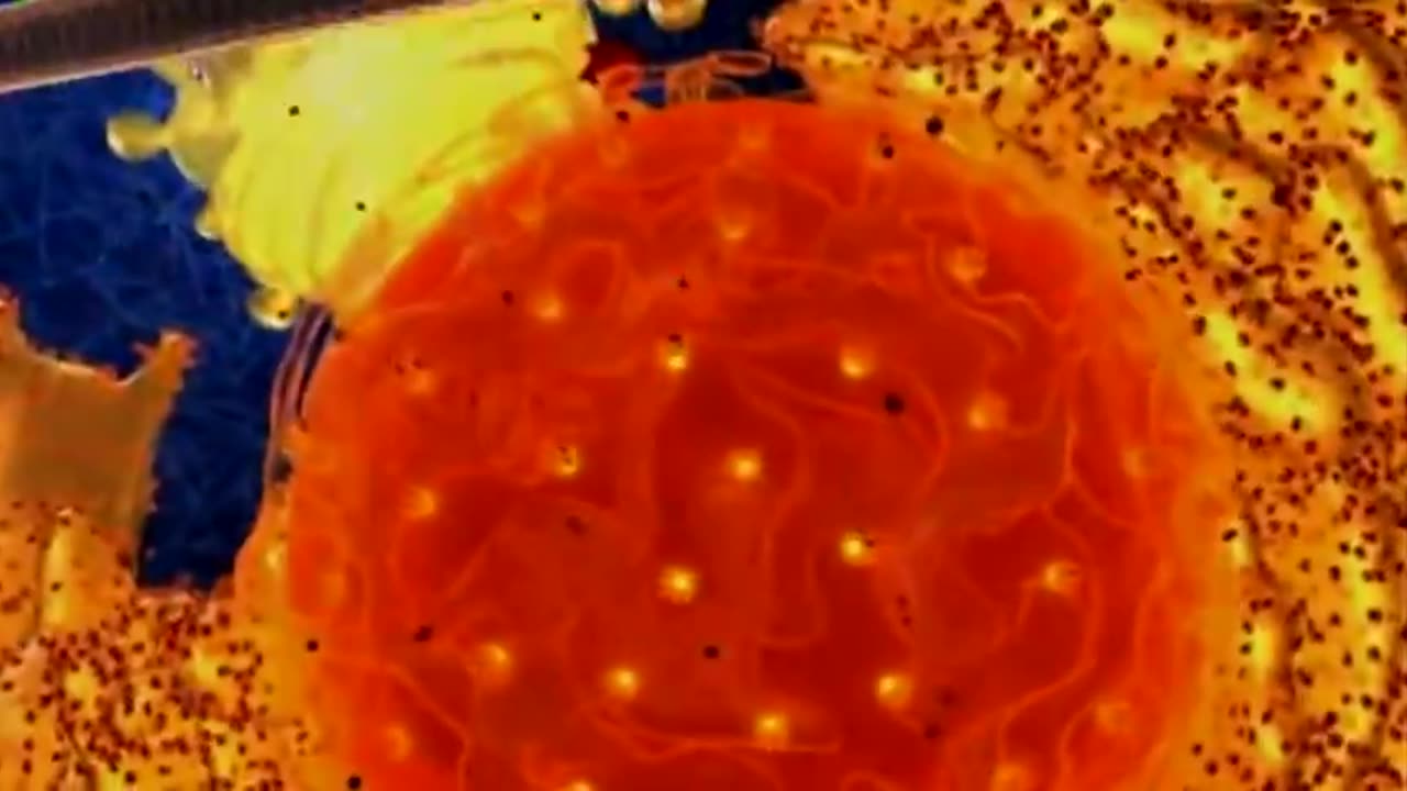 DNA - God's amazing programming; evidence for his existence