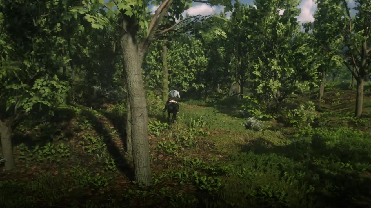 Horse Drifting/ cutting up in RDR2