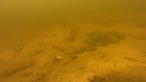 The bottom of Lake Selyava