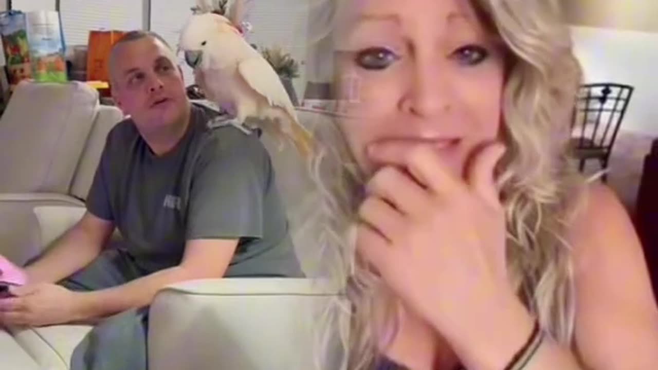 if you want to practice patience, get yourself a talking bird