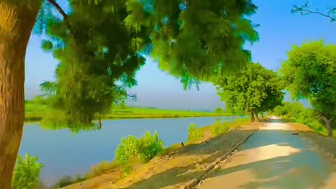 Village Evening Magic max records #maxrecords #larkana #sindh #Pakistan