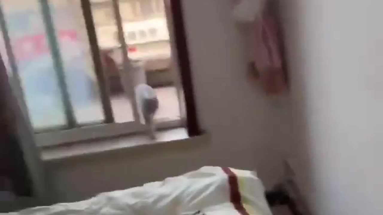 There is no other way for her to truly integrate into this cat other than....