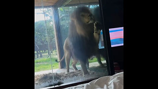 Un despertador que te despabila al instante
