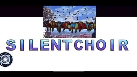 #SILENTCHOIR #StellarRussia 07/29/25