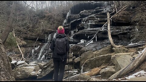 Snowy Yellow Branch Falls
