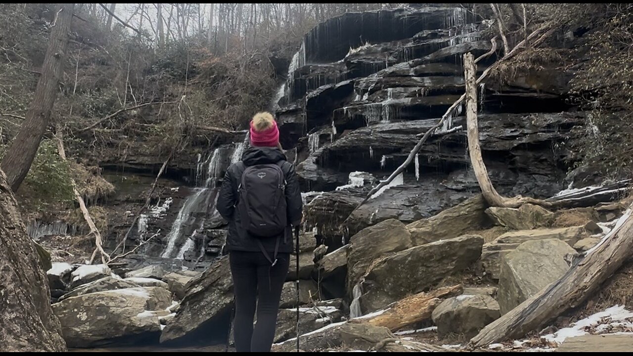 Snowy Yellow Branch Falls