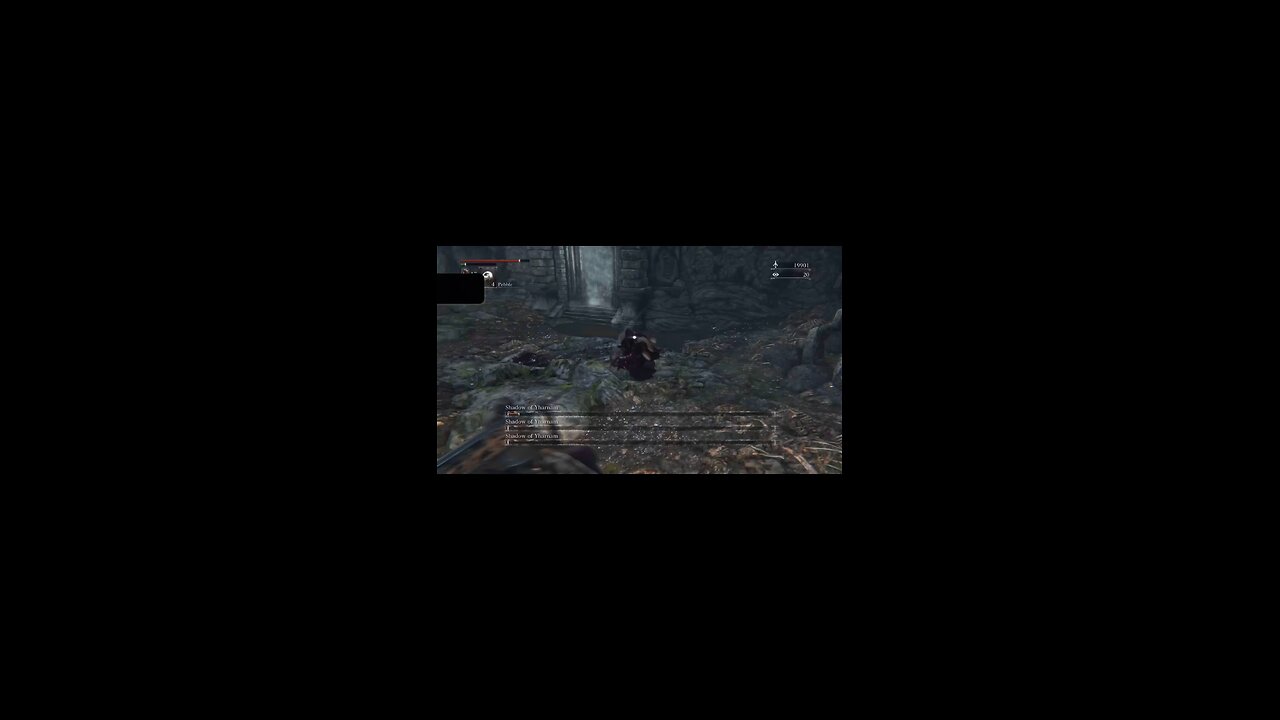 Bloodborne