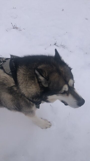 Sunday December 7, Whatever is good and perfect comes to us from God above.