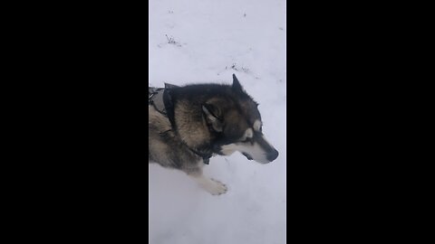 Sunday December 7, Whatever is good and perfect comes to us from God above.