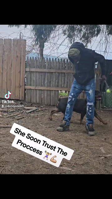 More Motion, Music 🎶 On The Way.