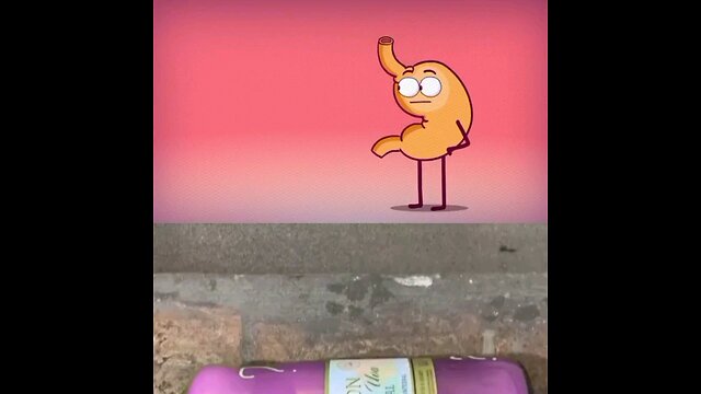 el cuerpo quiere azúcar