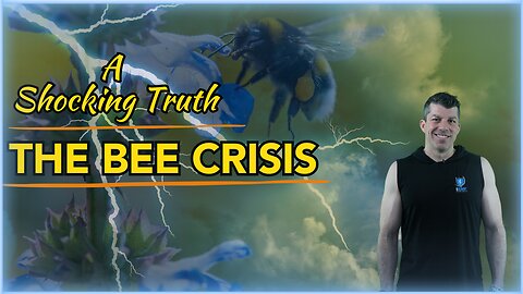 A Shocking Truth- The Bee Crisis