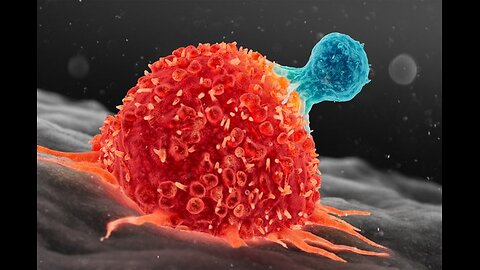 "Everything That Cancer Likes...Parasites Like. Everything Cancer Hates...