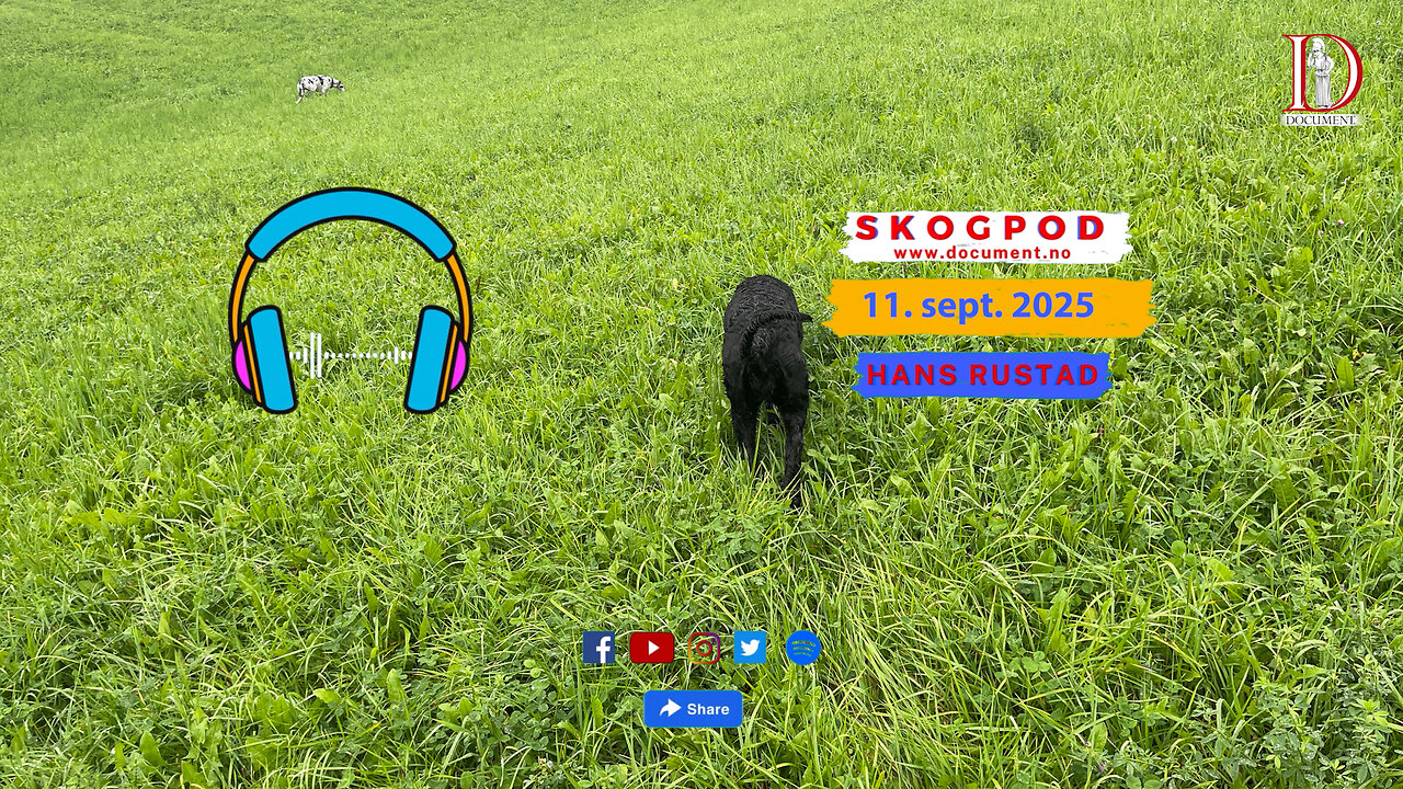 Skogpod 11. september 2025
