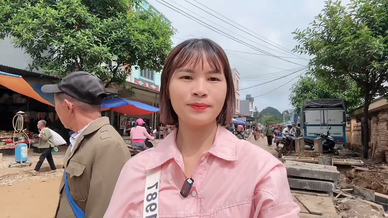translate