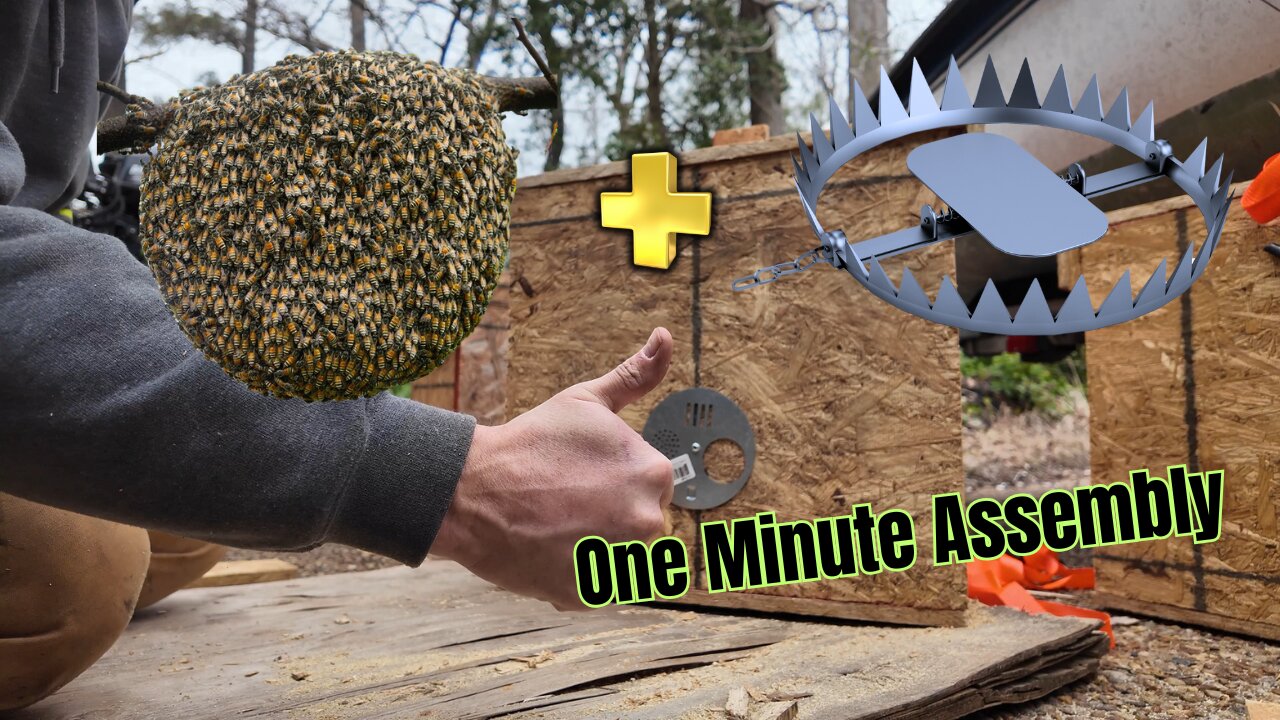 Building a Swarm Trap in 1 Minute! You Can Give Me 60 seconds! 🐝