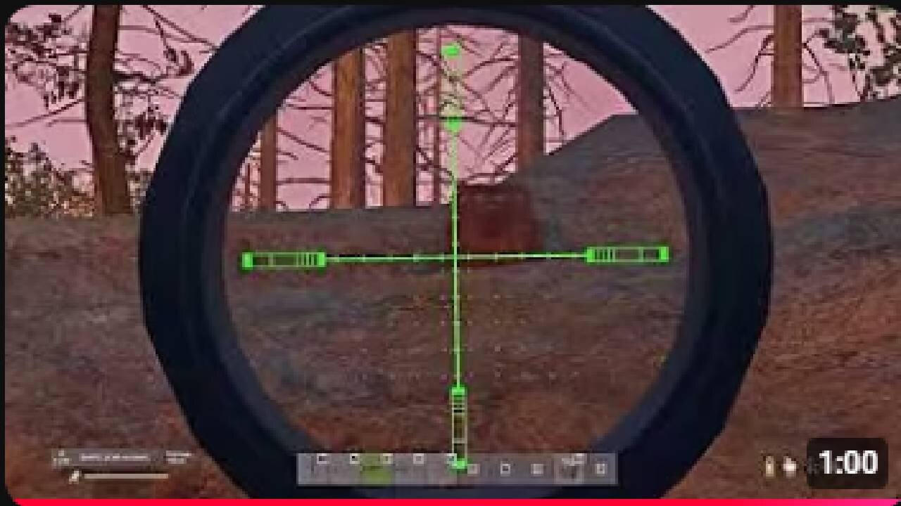Bear was playing