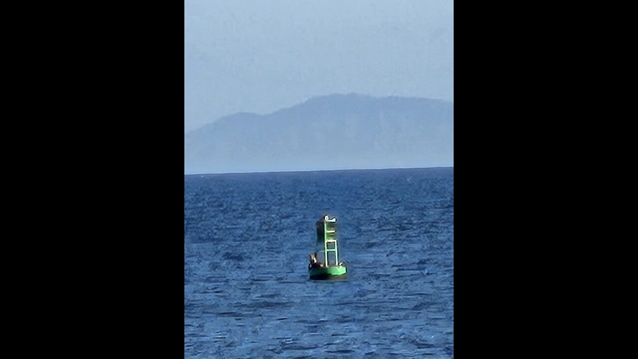 Lovey day by the shore