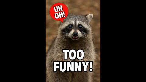 Caught in the Act: Funny Animals Doing Dumb Stuff! 😂