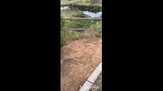 NOVEMBER AFTERNOON #truth #jesus #mary #joseph #ihs #christ #church #bible #christian #saints #trini