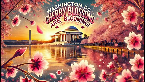 Washington DC’s Cherry Blossoms Are Blooming! 🌸 You NEED to See This!