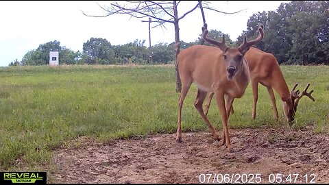 EP. 21 2025 FARM UPDATES, TARGET BUCKS, & KEANAN KNIVES