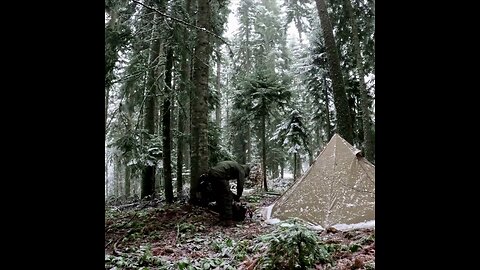 Bushcraft Survival, Stove Cooking, Nature Movie