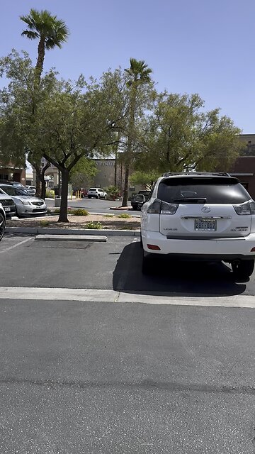 Beautiful Lincoln Towncar in Las Vegas