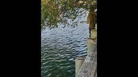 Ⓦⓘⓝⓓⓨ ⓓⓐⓨ ⓐⓣ Ⓛⓞⓝⓖ Ⓑⓔⓐⓒⓗ Ⓘⓢⓛⓐⓝⓓ 🏝️