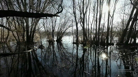 Exploring the Neighborhood's Beautiful Nature | Kaiapoi Lakes | Winter Short Walks