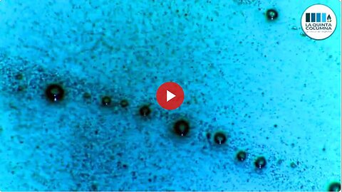 "Quinta Columna: Condoms Containing Reduced Graphene Oxide - French Subtitles"