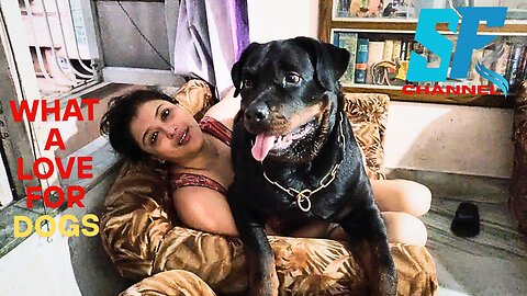 How much does a dog love its owner?