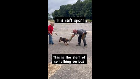 Not Sport. Not flash. Just real protection training in progress