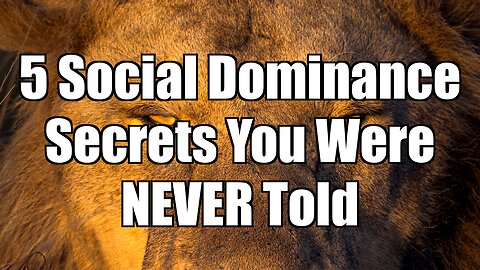 5 Social Dominance Secrets You Were NEVER Told