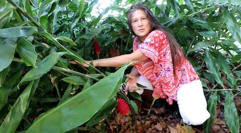 Shampoo Ginger Harvest From October Homesteading In Florida With Heidi Rose And Alexander