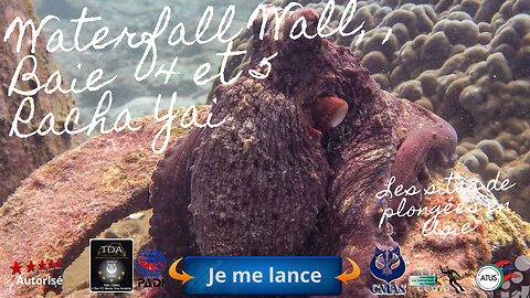 🐠 Baies 4,5 Waterfall Wall, Racha Yai, Le Récif Vibrant, l'Action et les Courants Mystérieux