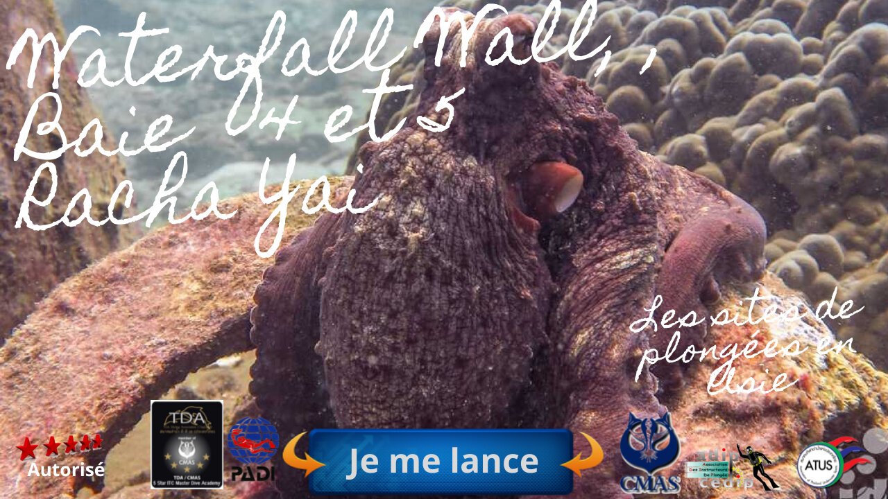 🐠 Baies 4,5 Waterfall Wall, Racha Yai, Le Récif Vibrant, lAction et les Courants Mystérieux