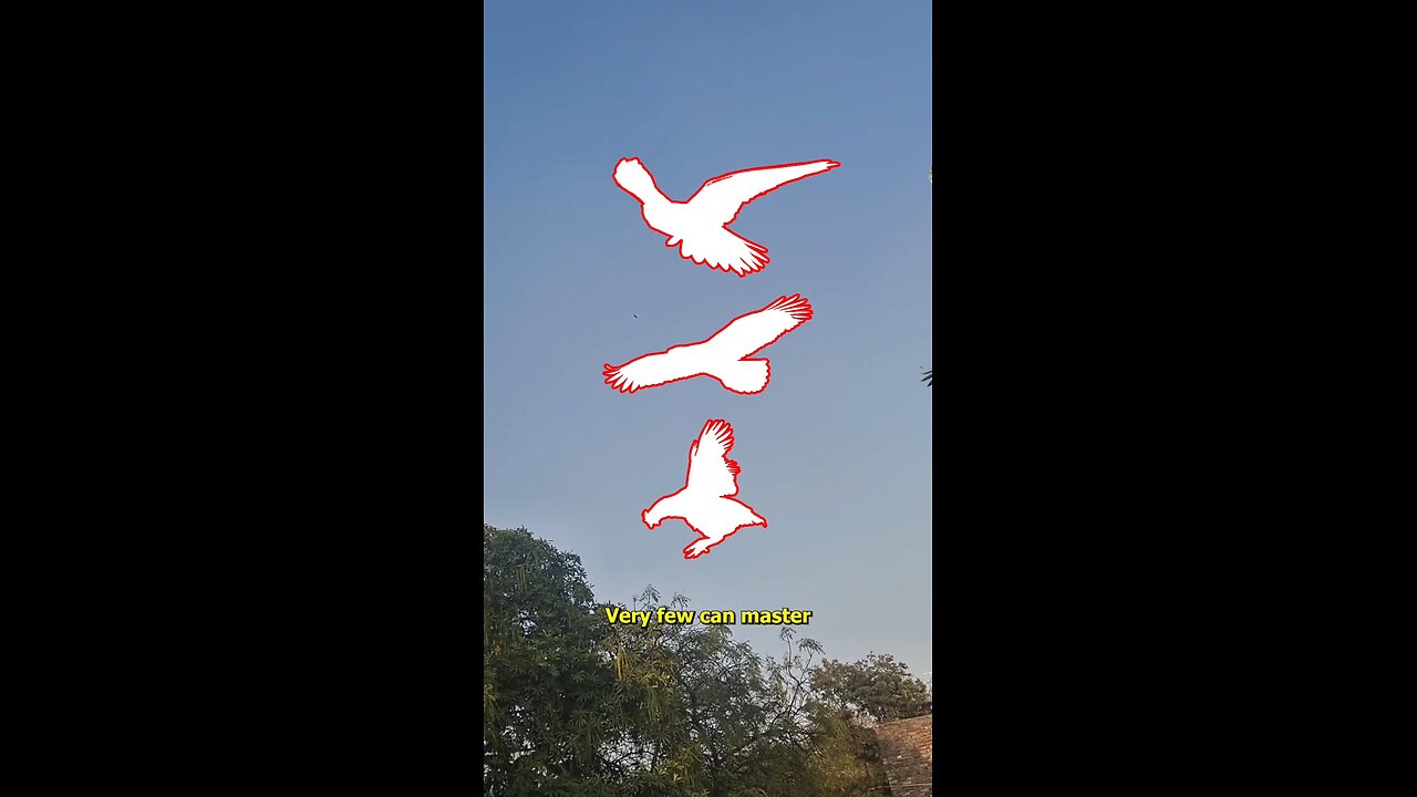 🐦 Challenge 🦅