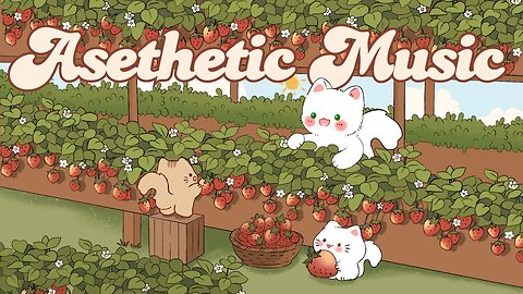 Aesthetic Music🍓 Lofi Kitty✨🌟 1 Hour Cafe Song🍒Stream cafe☕ cute & relaxing 🎶 Make Your Day Better💖