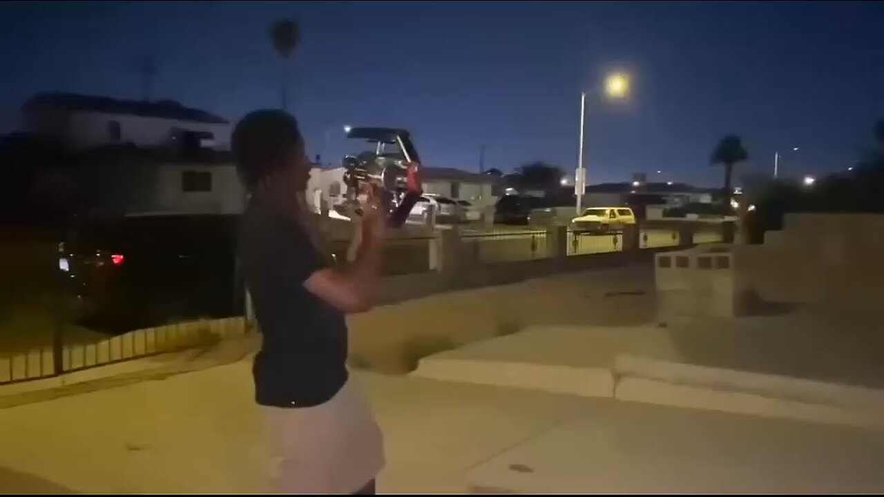 THE TERMINATOR
