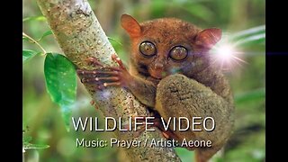 PRAYER by Aeone.