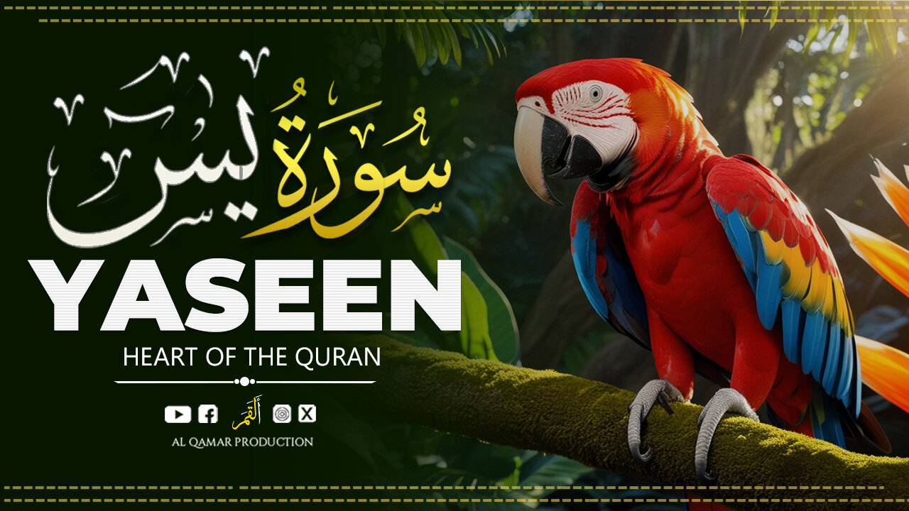 Surah Yaseen | Deeply Moving Quran Recitation | AlQamar Production