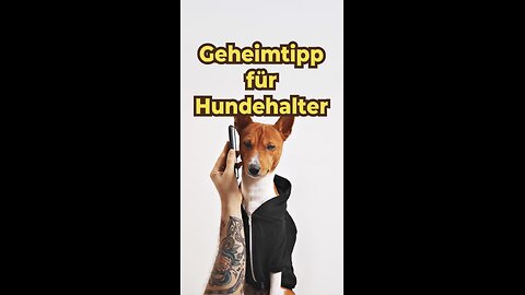 Dieser Futternapf ist gefährlich! Geheimtipp für Hundehalter