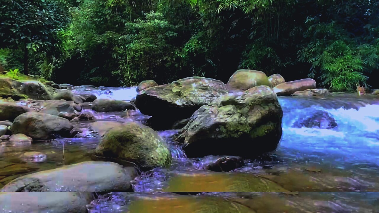 Suasana damai di aliran sungai