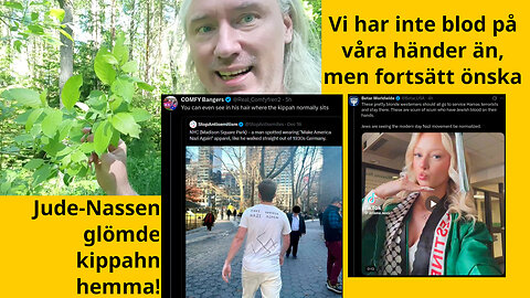 Boycat-app. Utpressnings-mutor. Bankir-Mao. Betar & IDF terror. Saltsyra & sura uppstötningar
