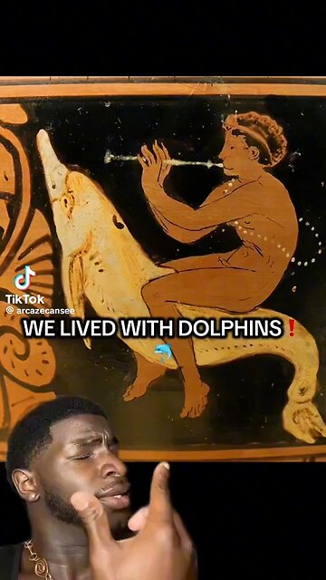 Banning Dolphins Because They Know We used To Live With Them