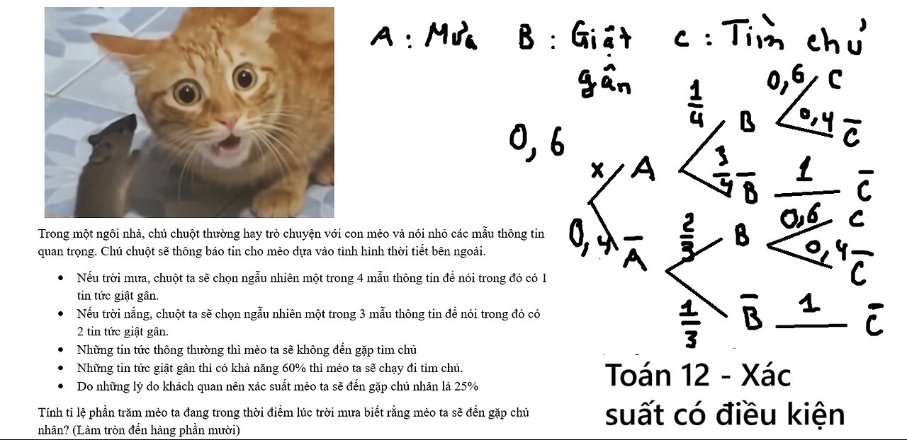 Toán 12: Trong một ngôi nhà, chú chuột thường hay trò chuyện với con mèo và nói nhỏ các
