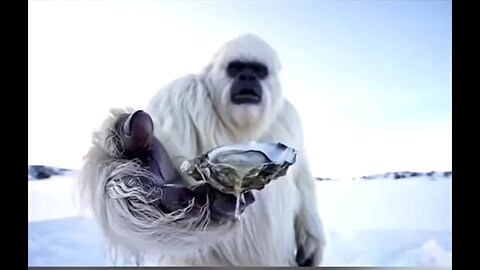 Bigfoot funnies
