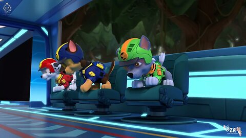PAW Patrol Cartoons